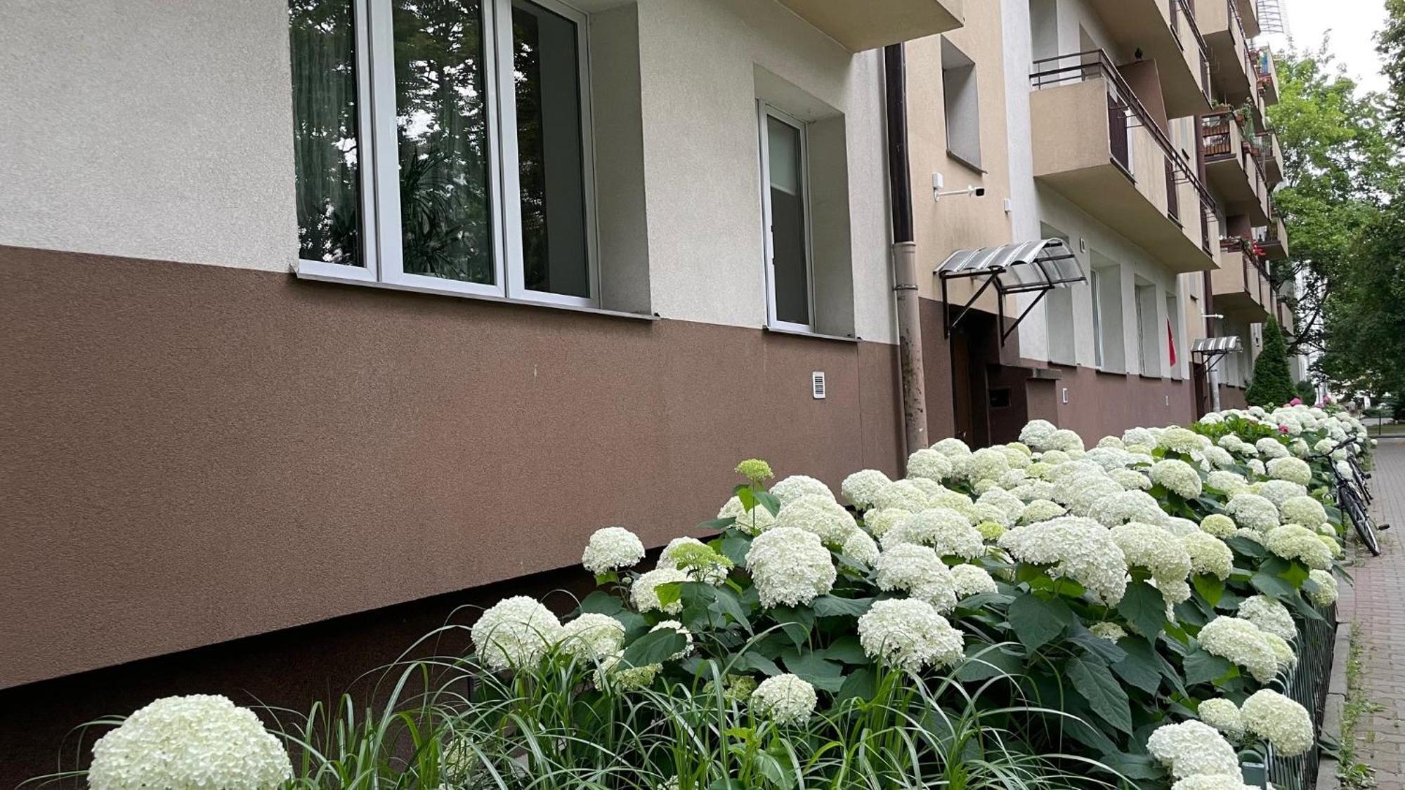 Na Muranowie - Mieszkanie Z Historia I In Muranow - A Flat With Warsaw History Exteriör bild